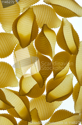 Image of Conchiglie