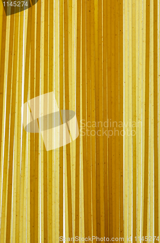 Image of Spaghetti