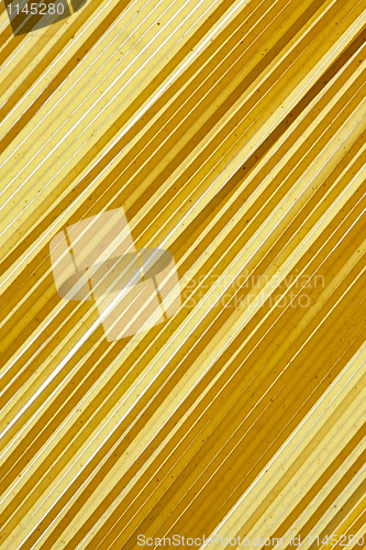 Image of Spaghetti