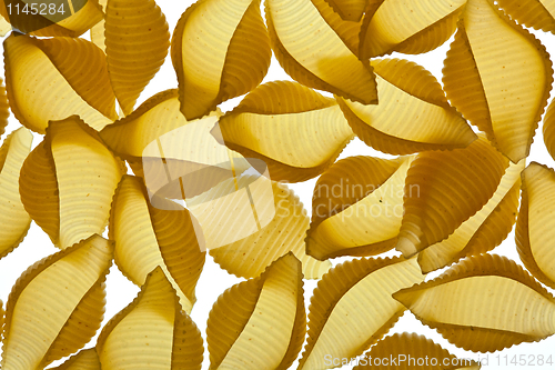 Image of Conchiglie