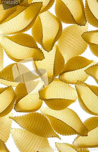 Image of Conchiglie