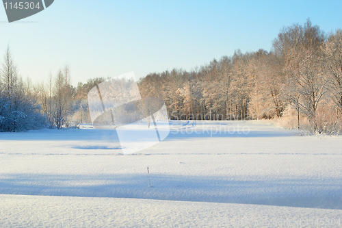 Image of Winter Landscape And Trees