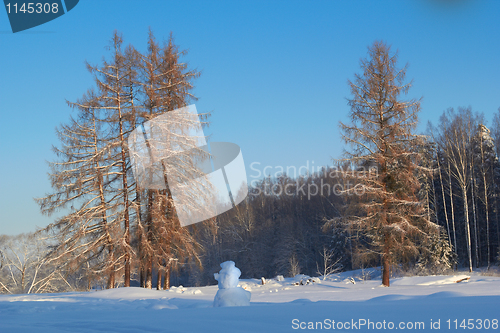 Image of Winter Landscape And Trees