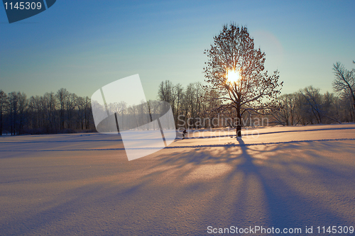 Image of Sunny winter morning