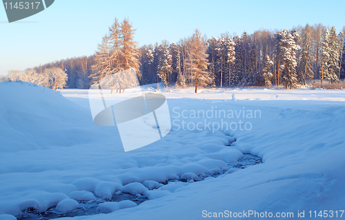 Image of Winter Landscape And Trees