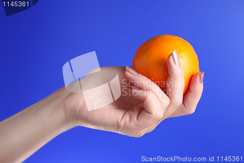 Image of woman holds in her hand oranges