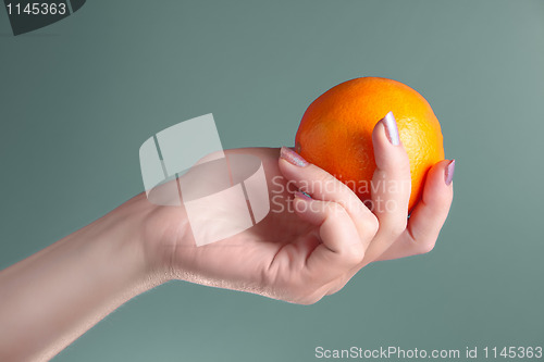 Image of woman holds in her hand oranges