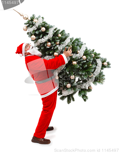 Image of Santa Claus carrying a decorated christmas tree