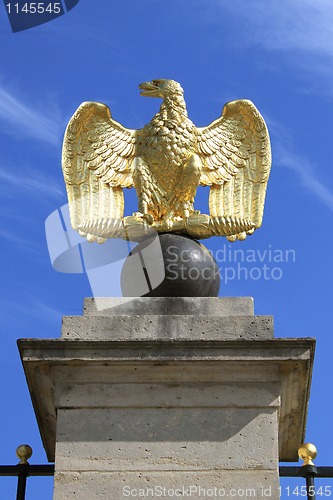 Image of eagle