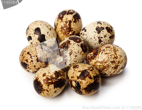 Image of Quail eggs