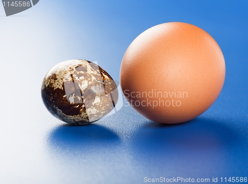 Image of Chicken and quail eggs