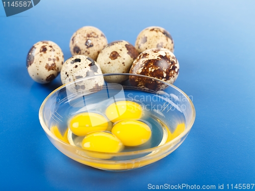 Image of Whole and broken quail eggs