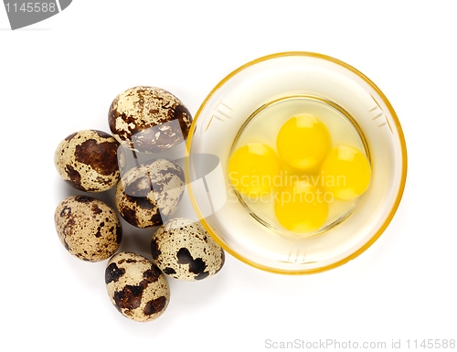 Image of Whole and broken quail eggs