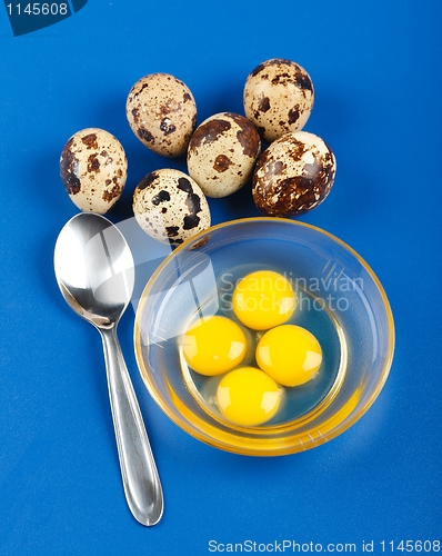 Image of Whole and broken quail eggs