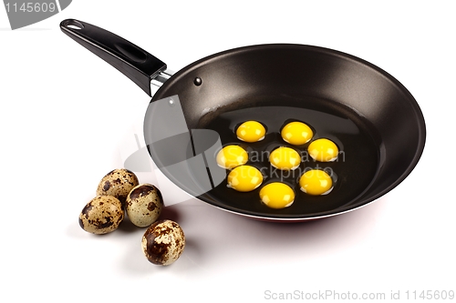 Image of Whole and broken quail eggs in pan