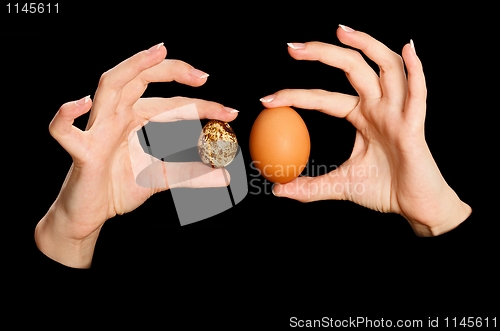 Image of Quail and chicken egg