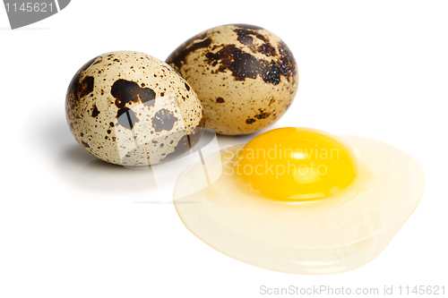 Image of Raw quail eggs