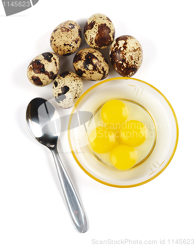 Image of Raw quail eggs and spoon
