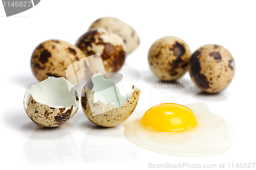 Image of Raw quail eggs