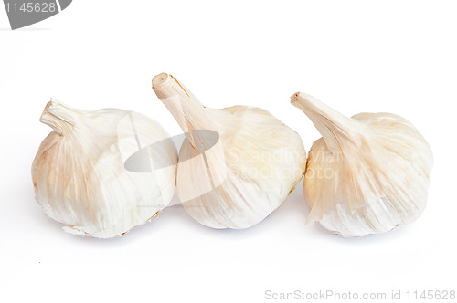 Image of Garlic