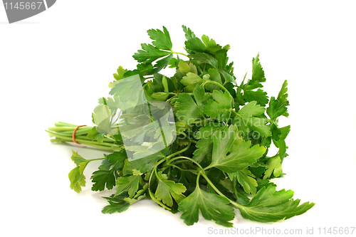 Image of Parsley