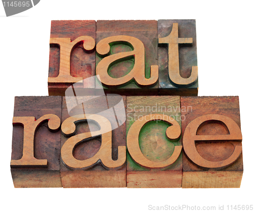 Image of rat race phrase in letterpress type