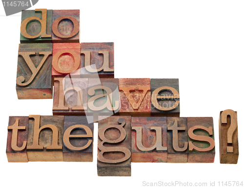 Image of Do you have the guts?