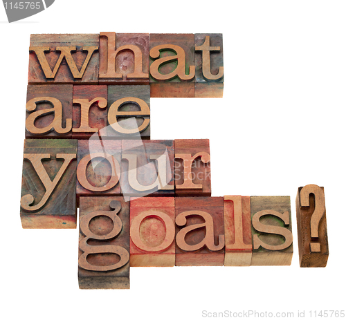 Image of what are your goals question