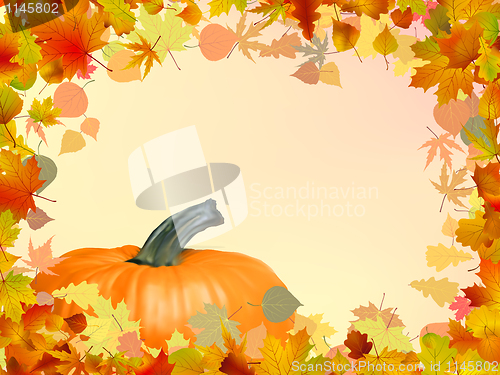 Image of Autumn card template leaves with Pumpkin. EPS 8