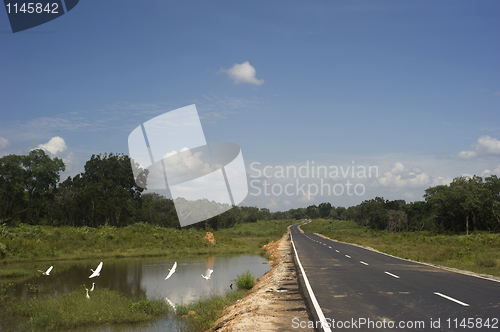 Image of Country road in Sri Lanka