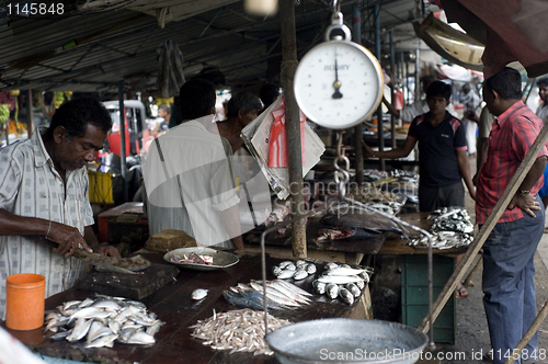 Image of Fish market