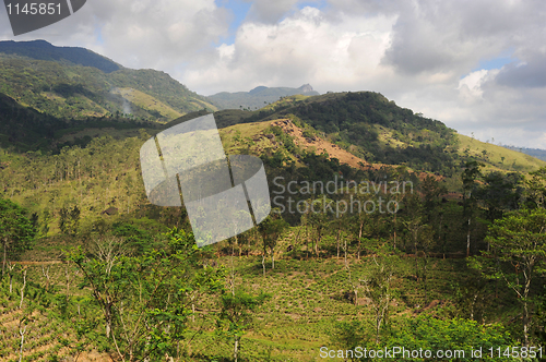 Image of Sri Lanka mountains