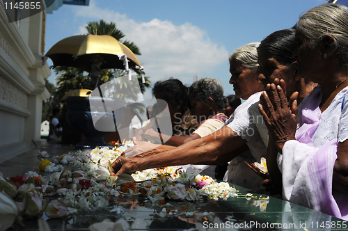 Image of Dambulla Golden Temple