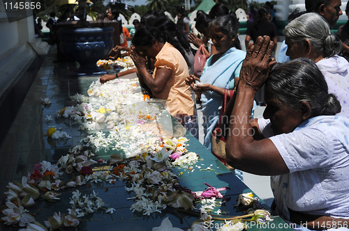 Image of Dambulla Golden Temple