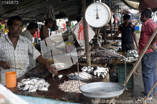 Image of Fish market