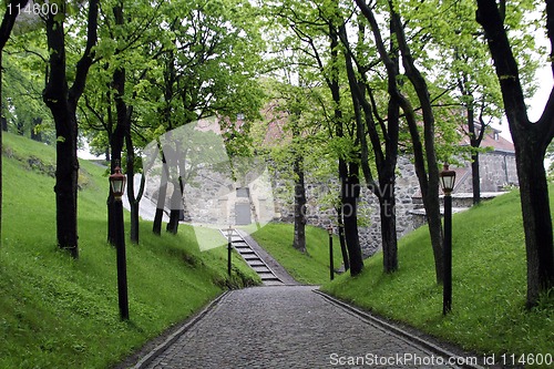 Image of Cobblestone Road