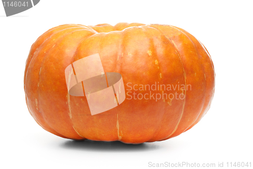 Image of Single fresh pumpkin