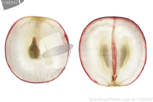 Image of Translucent slice of red grape