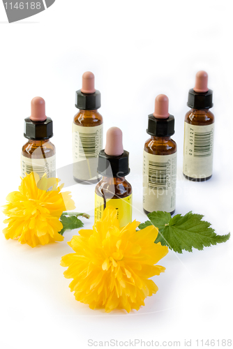 Image of bach flower extracts