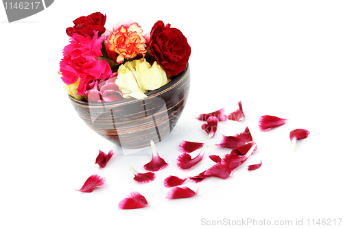 Image of carnations