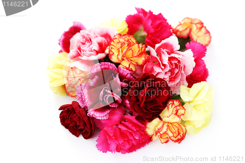 Image of carnations