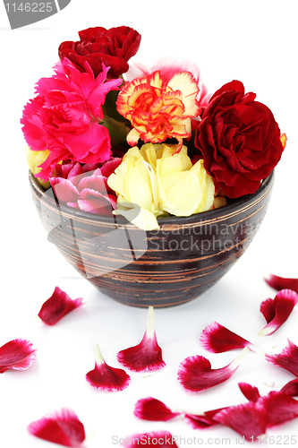 Image of carnations