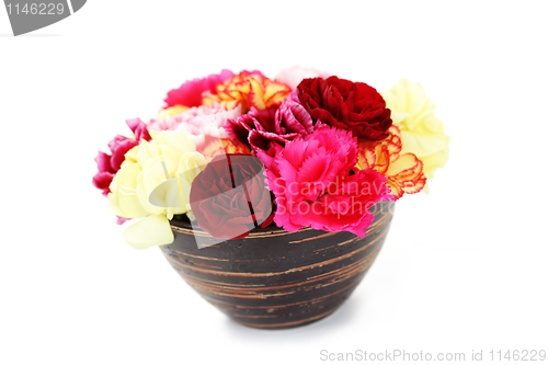 Image of carnations