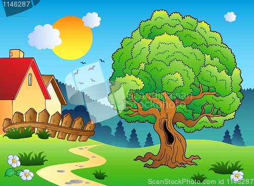 Image of Meadow with big leafy tree