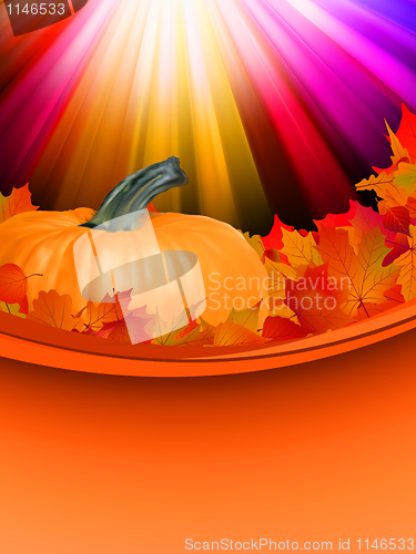 Image of Autumn card template leaves with Pumpkin. EPS 8