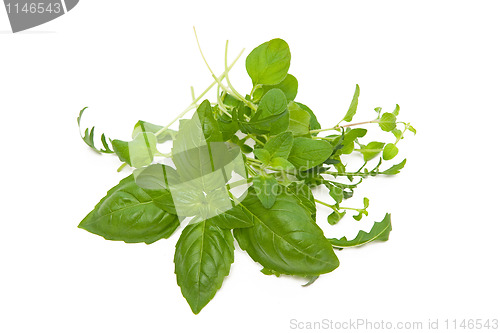 Image of Herbs