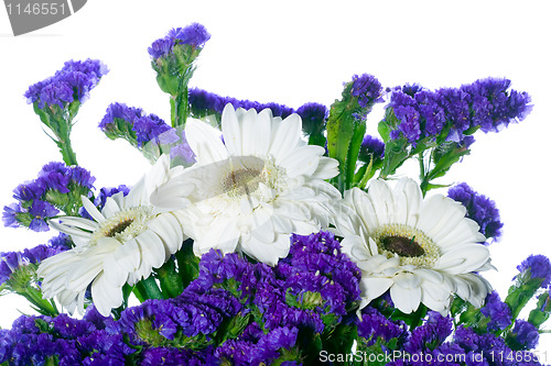 Image of border of spring flowers on a white background 