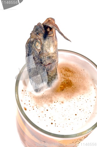 Image of salty fish swallowing another one in beer