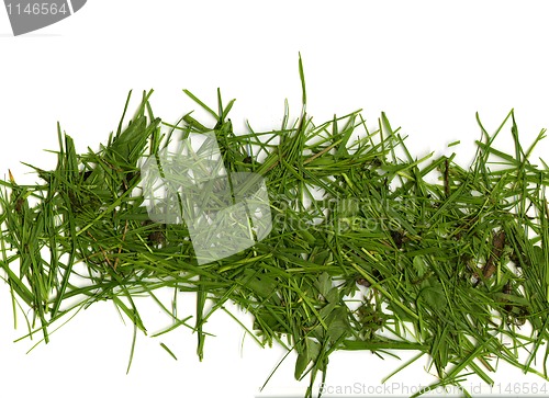 Image of Grass cuttings