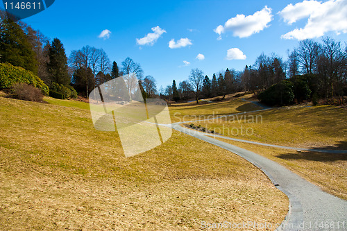 Image of Park in springtime